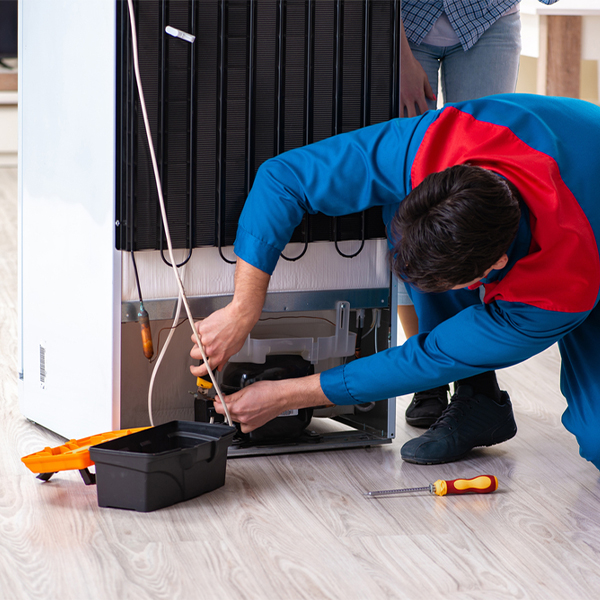 can you repair all types and brands of refrigerators in Hillsboro Georgia